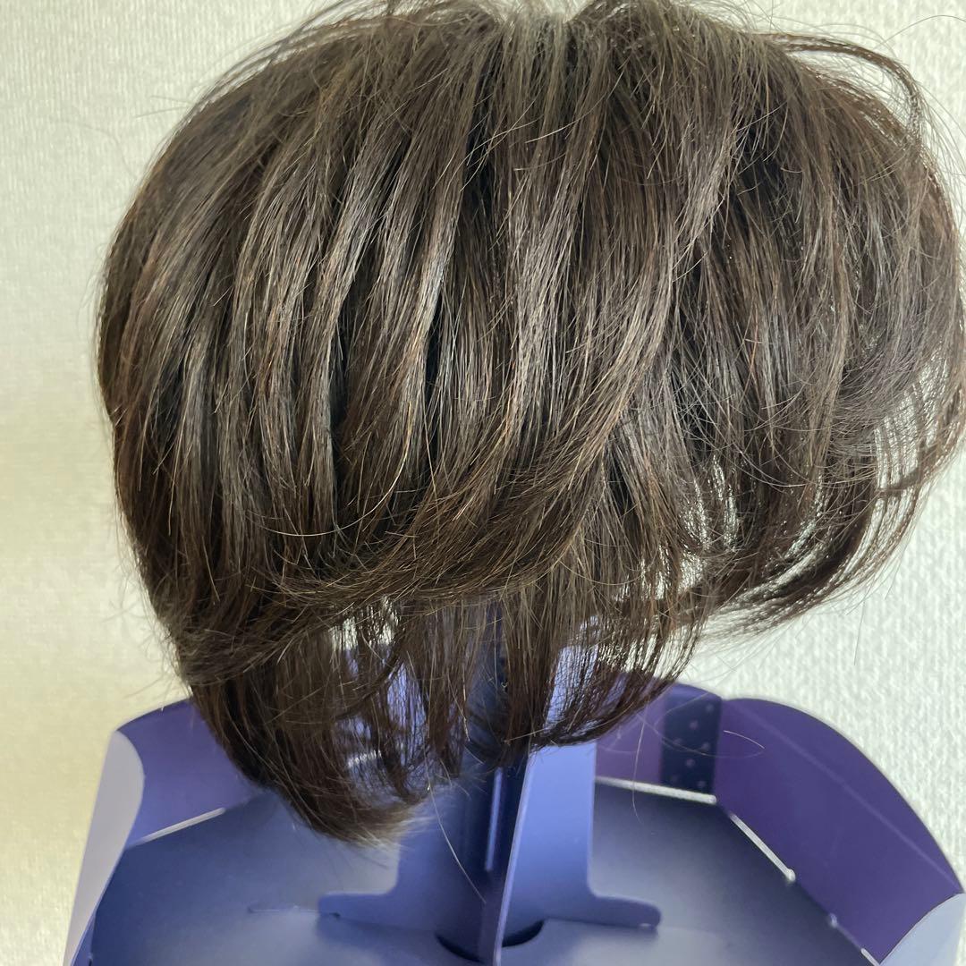 フォンテーヌ VALAN premium 高級ウィッグ VPD04 F4