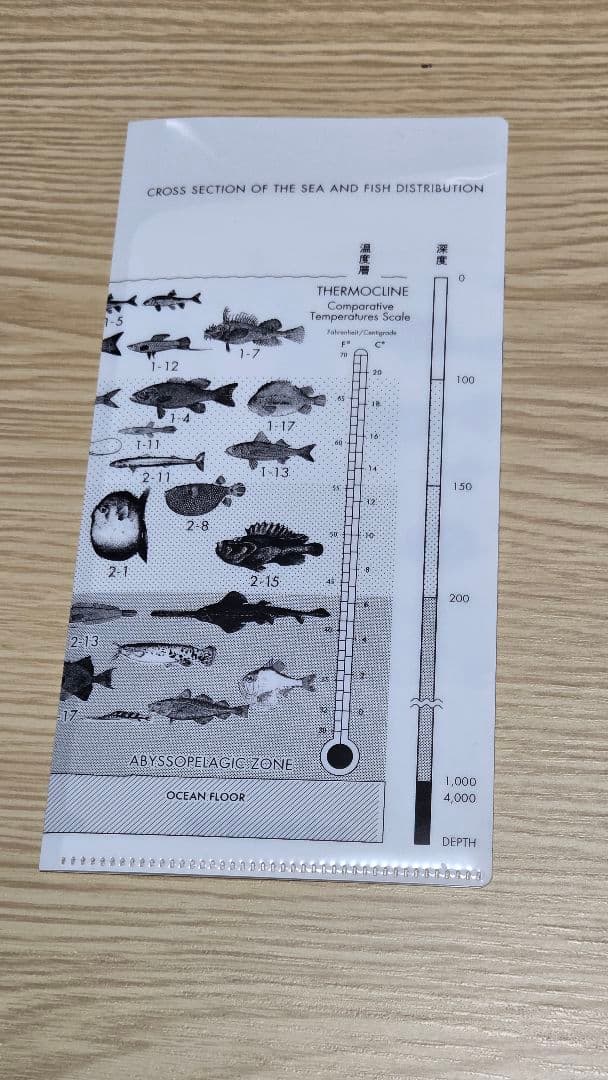 サカナクション 魚図鑑 完全生産限定盤プレミアムボックス