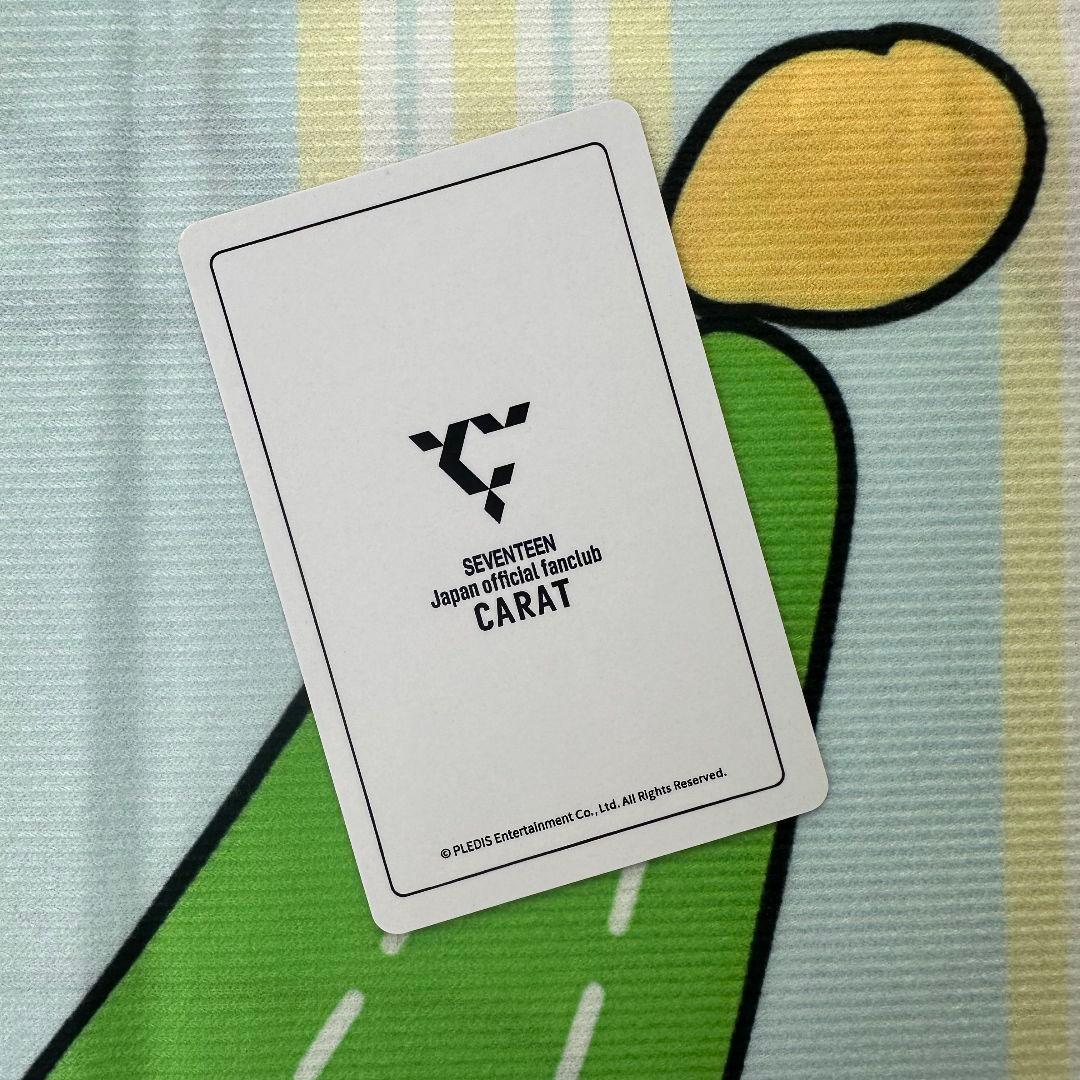 SEVENTEEN THE8 MY BEST スングァン 当選 トレカ