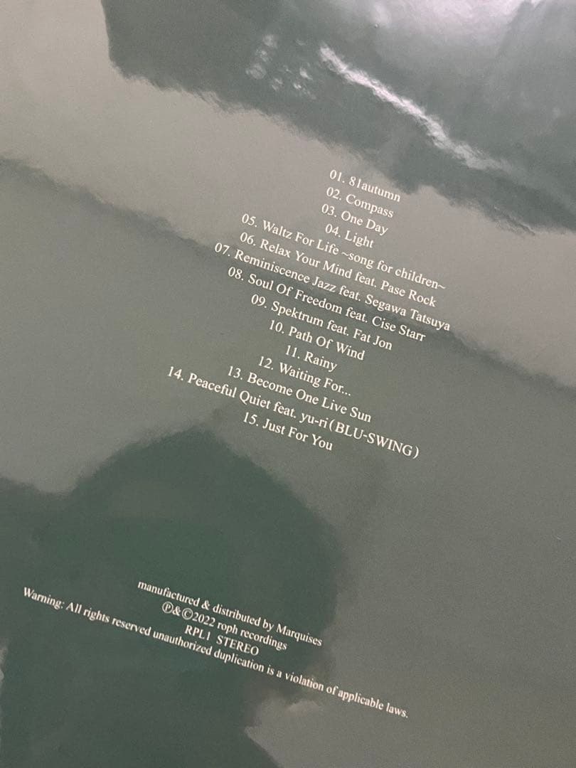 Feeling of the Sun 2枚組レコード