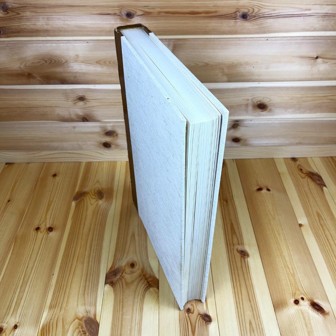 ミケランジェロ デッサン画集 MICHELANGELO 1965 素描 図録