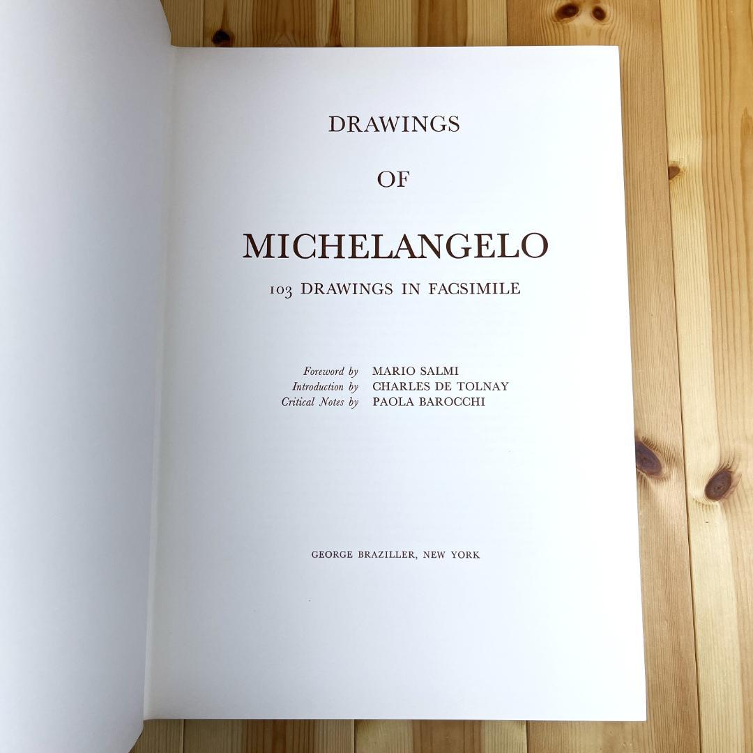 ミケランジェロ デッサン画集 MICHELANGELO 1965 素描 図録