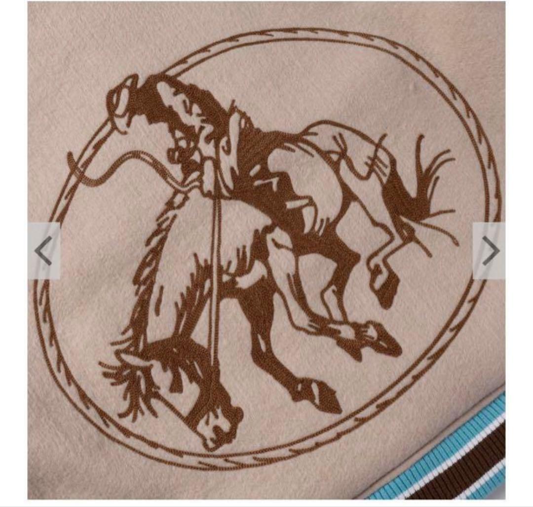 SON OF THE CHEESE ウエスタンバーシティ スタジャン