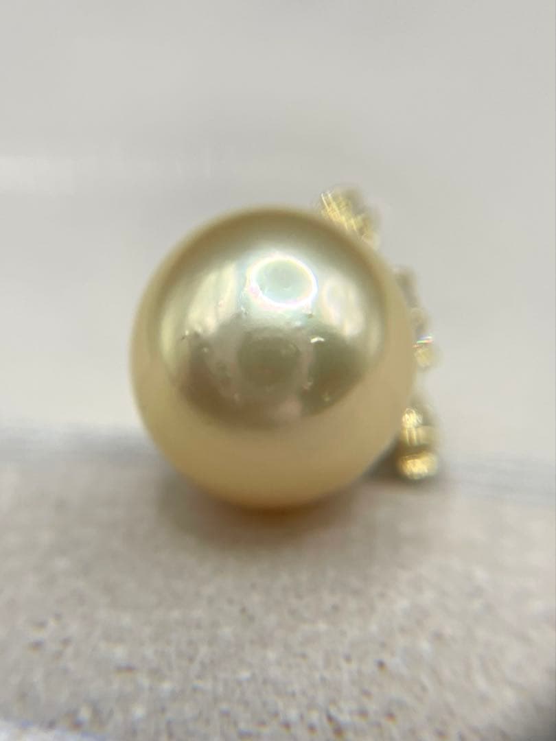 専用JA174トップ鑑付★JA31同梱