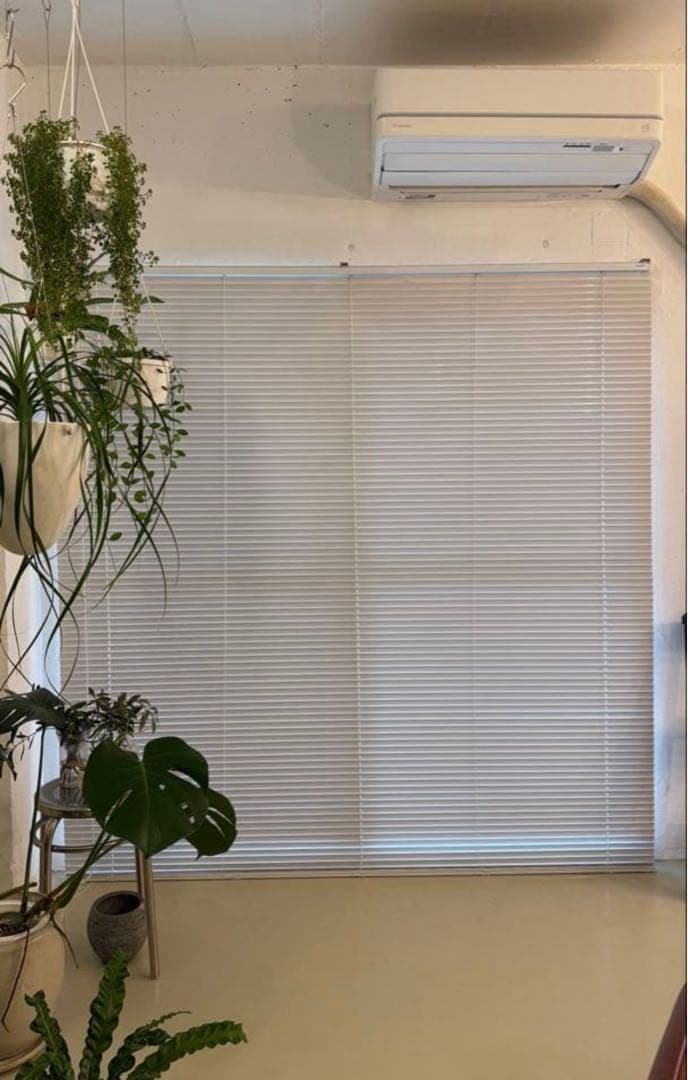 【2セット】アルミブラインド　白