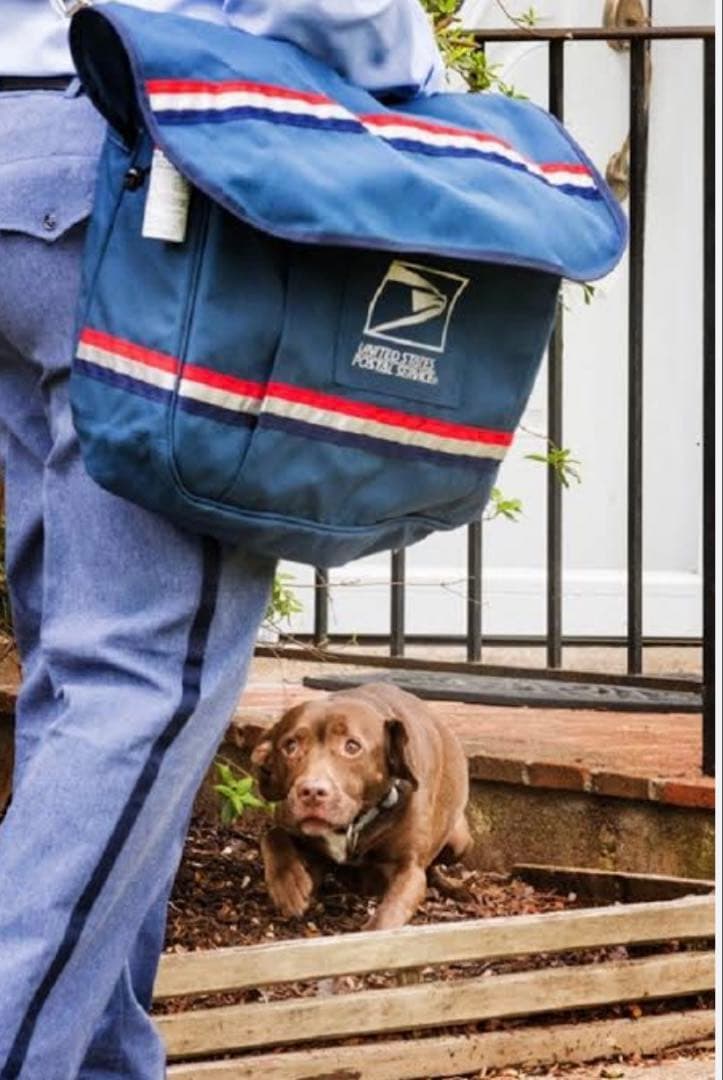 USPS 米国郵便公式配達用 メッセンジャーバッグ ナイロン製 リフレクター付