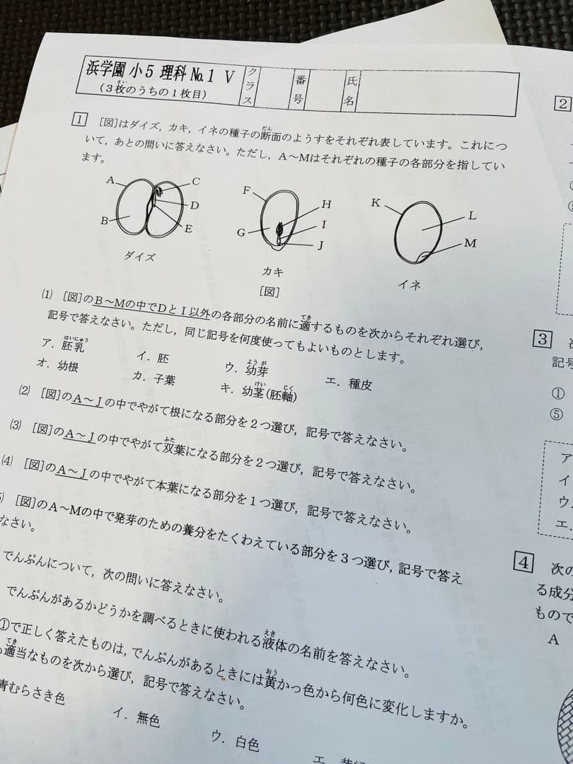 l浜学園　最新版　2023年　小5　復習テスト　Vクラス　算国理　3科目