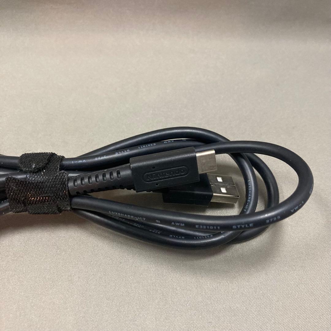 動作品Nintendo Switch Lite 本体 ディアルガ・パルキア