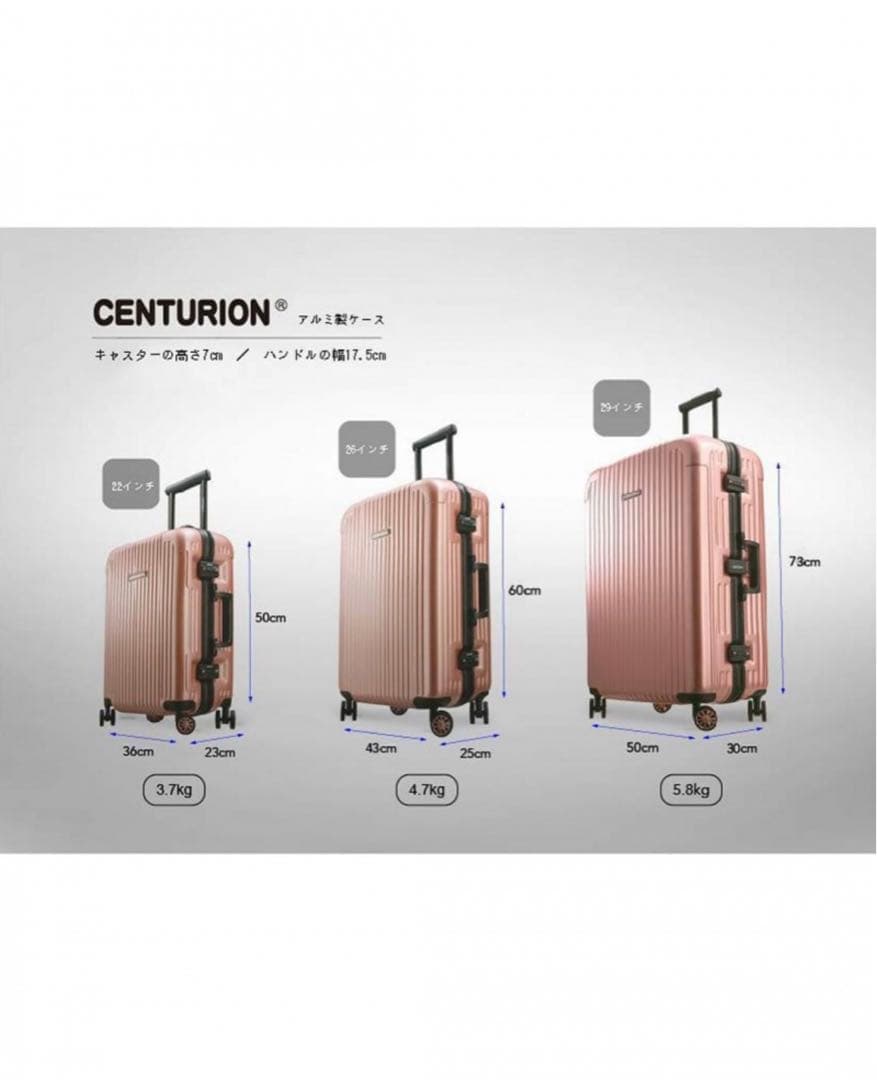 CENTURION 29インチ日本限定　ホワイト　グレー　フレーム型　Lサイズ