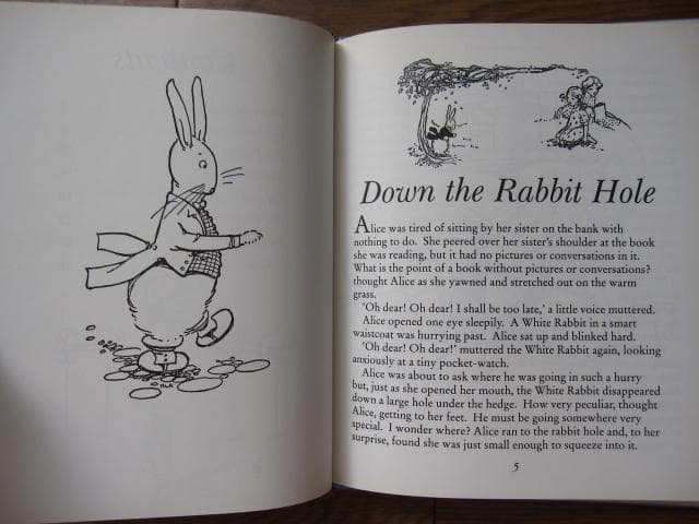 洋書 The ALICE IN WONDERLAND Picture Book