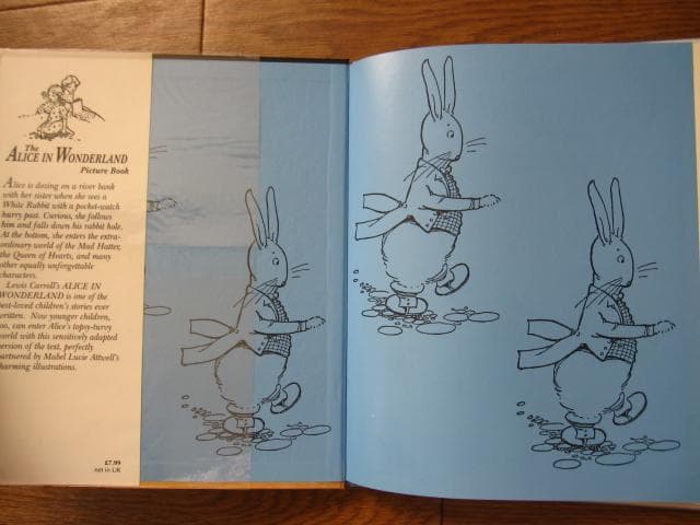 洋書 The ALICE IN WONDERLAND Picture Book
