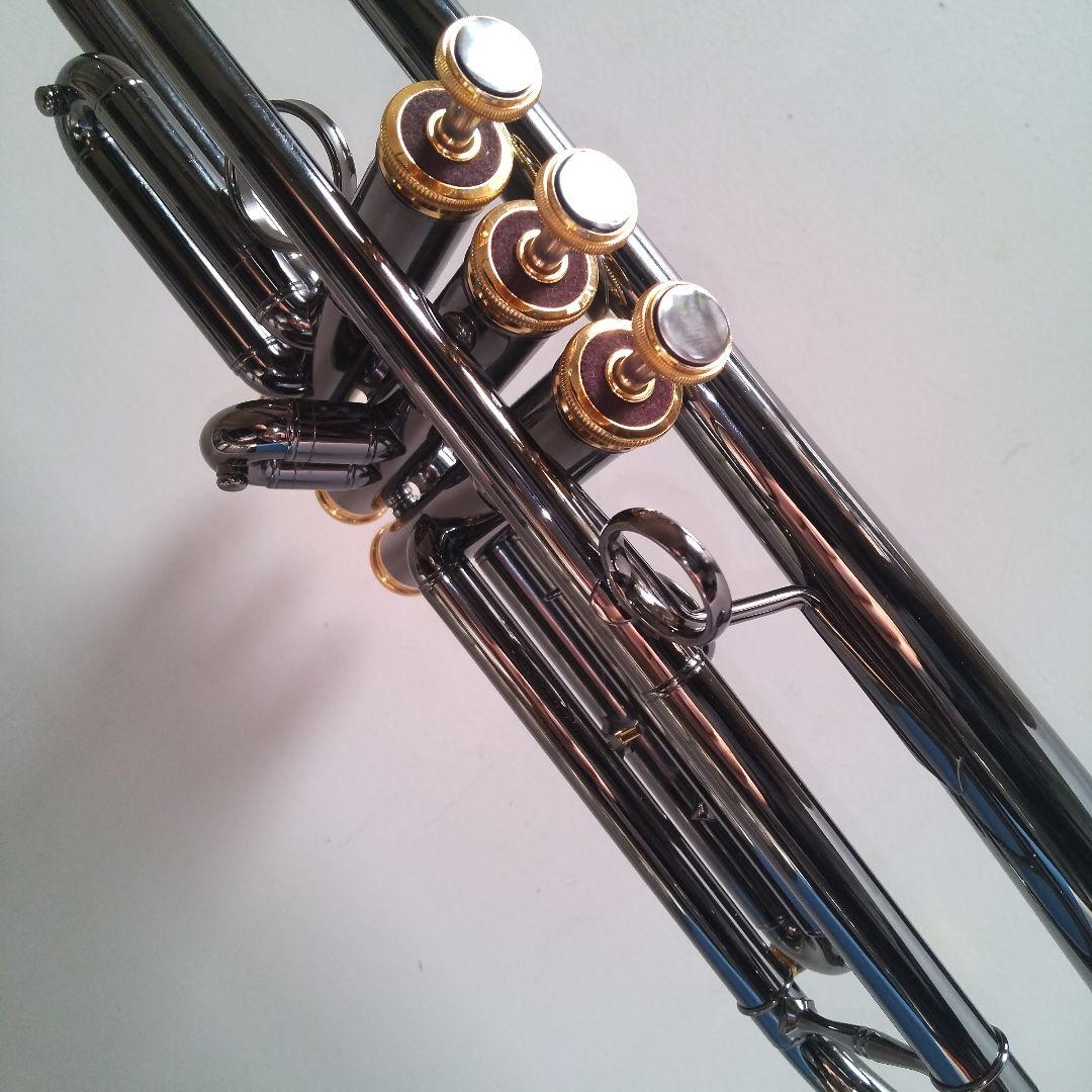 い*ん様 トランペット Queen Brass Zorro