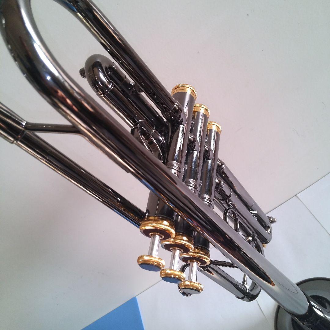 い*ん様 トランペット Queen Brass Zorro