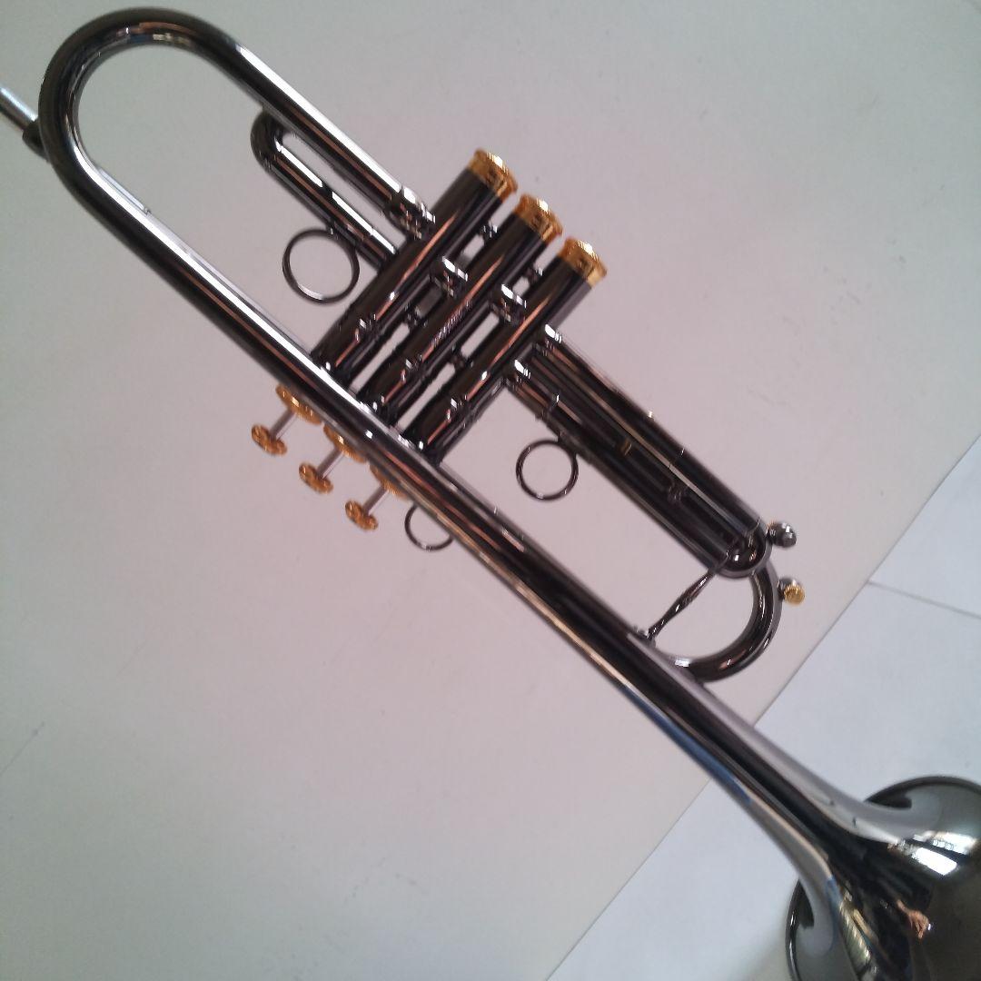 い*ん様 トランペット Queen Brass Zorro