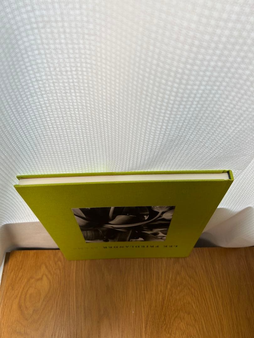 Lee Friedlander Stems リー・フリードランダー写真集