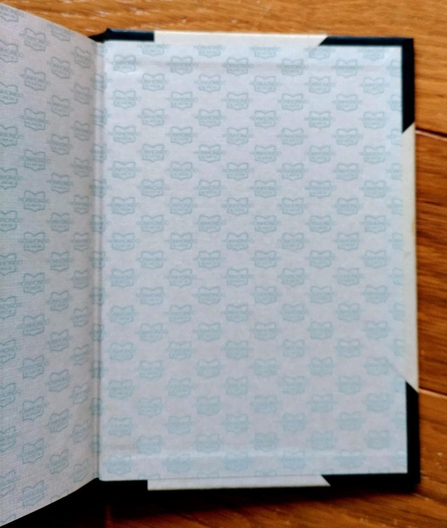 坂本龍一　BLANCHE HONHONDO ハードカバー、1984