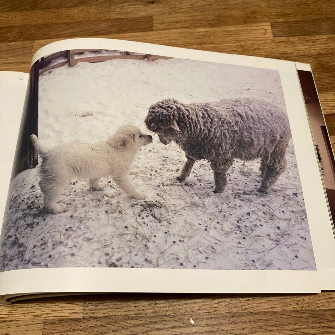 Wolfgang Tillmans ウォルフガング　ティルマンス