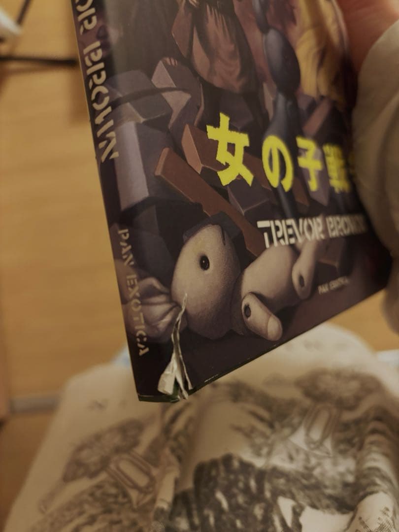 トレヴァーブラウン Trevor Brown 画集