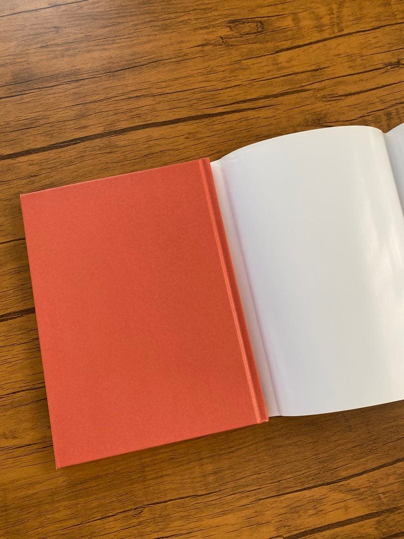 TAKE IVY テイクアイビー T.HAYASHIDA 写真集 英語版