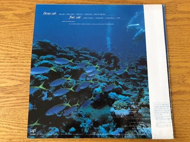 菊池桃子 OCEAN SIDE LP 帯付 シティポップ d772y81