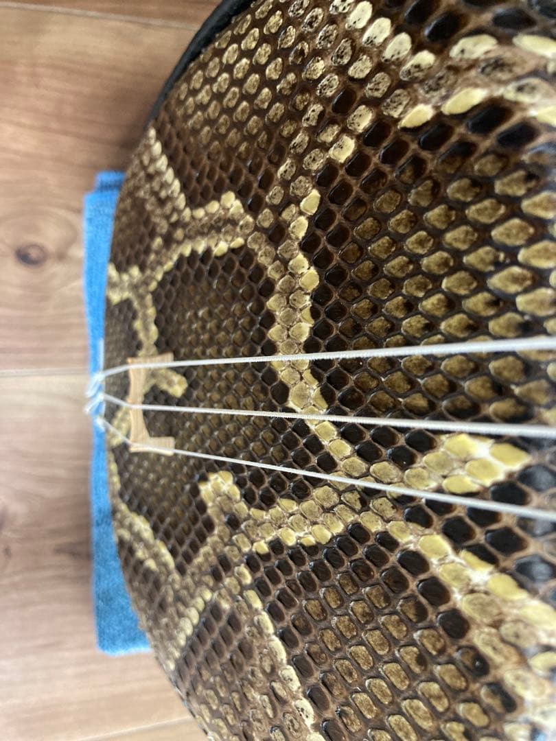 【登り竜ティーガ】沖縄三線✨本革強化張り✨訳あり