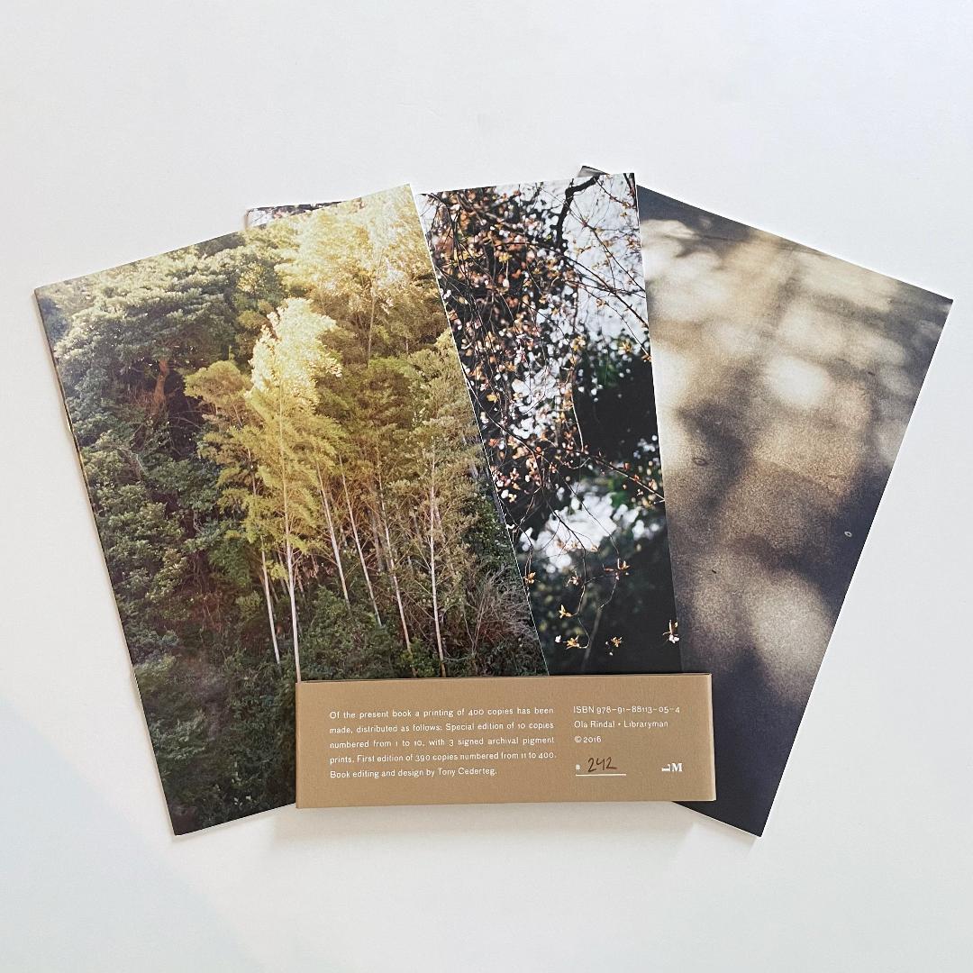 DAG MADOKA MIYA by Ola Rindal（オラ・リンダル）