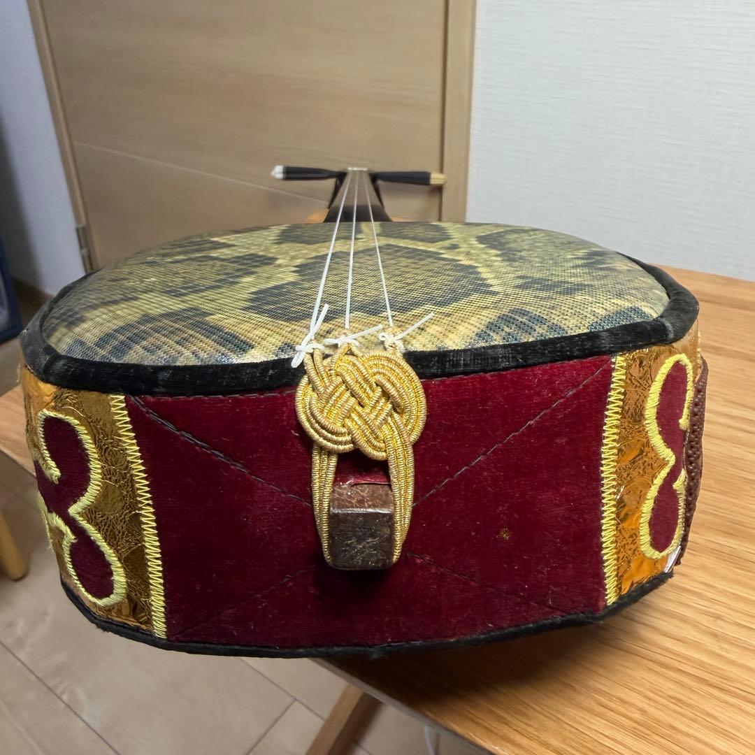 沖縄三線 人工皮 蛇柄 初心者向け 練習用 黒塗り棹