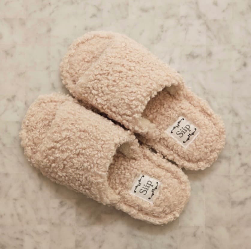 【最終価格】　Siip ガイア【完全生産限定盤】 新品未開封