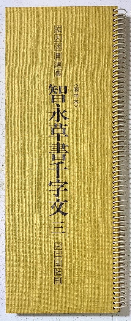 拡大法書撰選集31 智永草書千字文㈡〈関中本〉
