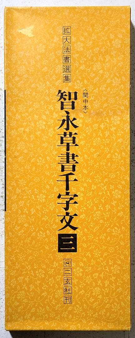 拡大法書撰選集31 智永草書千字文㈡〈関中本〉