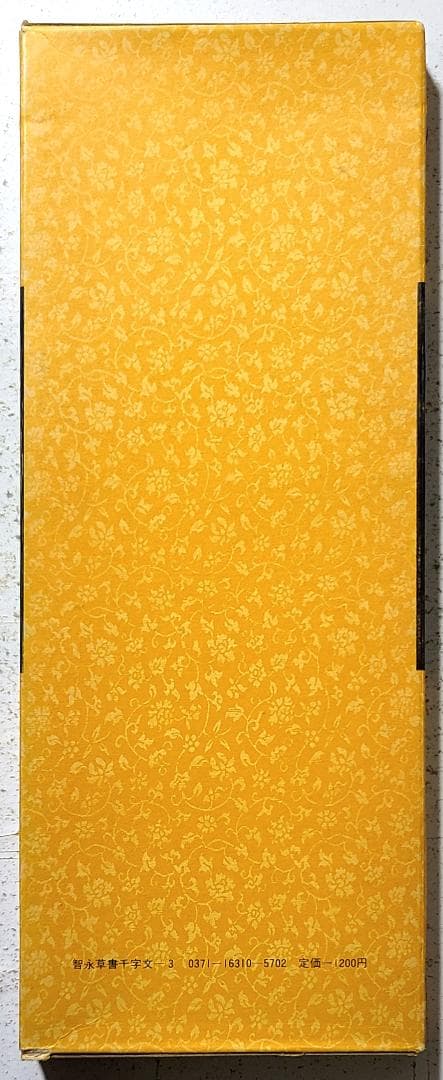 拡大法書撰選集31 智永草書千字文㈡〈関中本〉