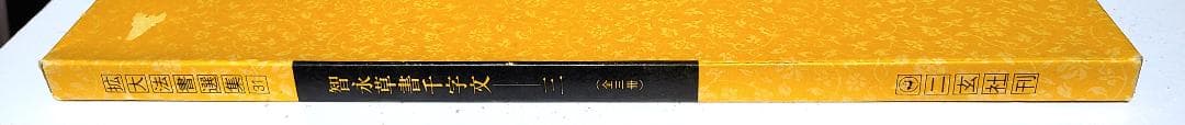 拡大法書撰選集31 智永草書千字文㈡〈関中本〉