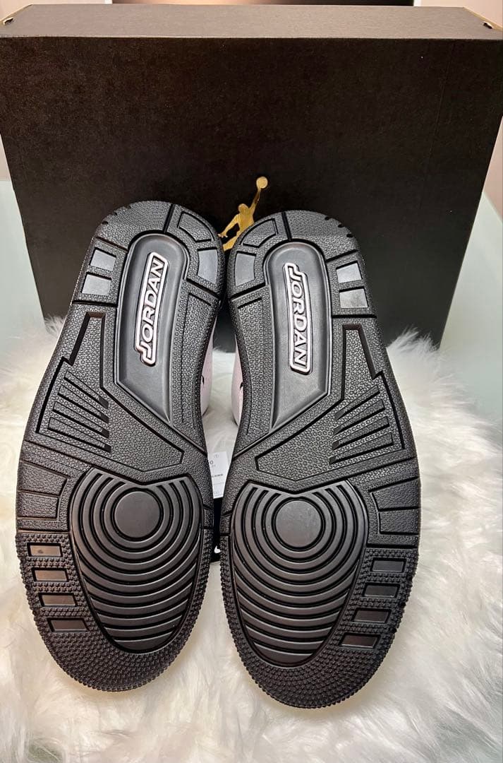 JORDAN COURTSIDE 23ジョーダン コートサイド23 26.5㎝