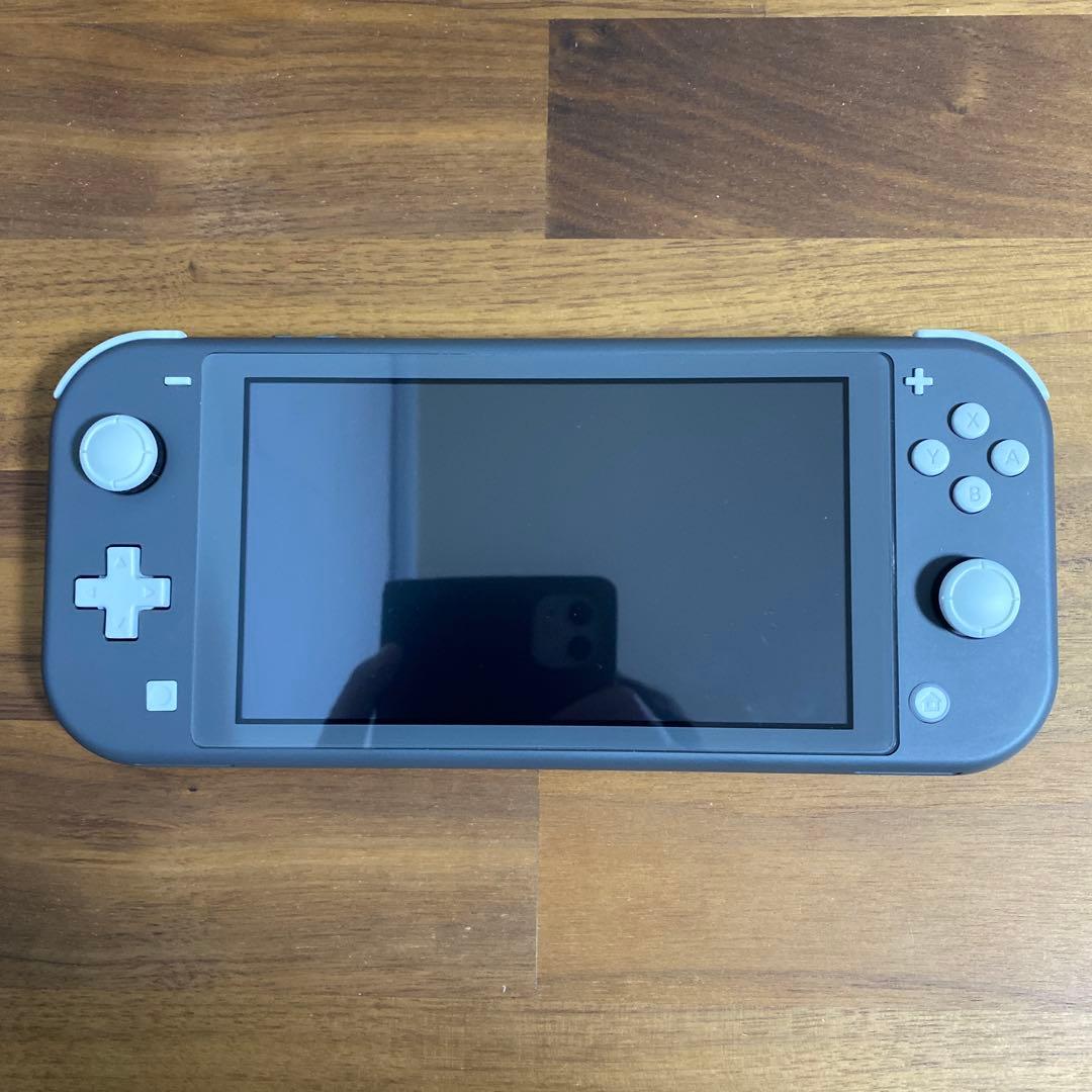 【送料無料】Nintendo Switch Lite本体 グレー 専用ケース付き