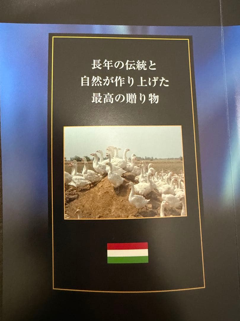 ホワイトマザーグースダウン93% 掛け布団 モリリン