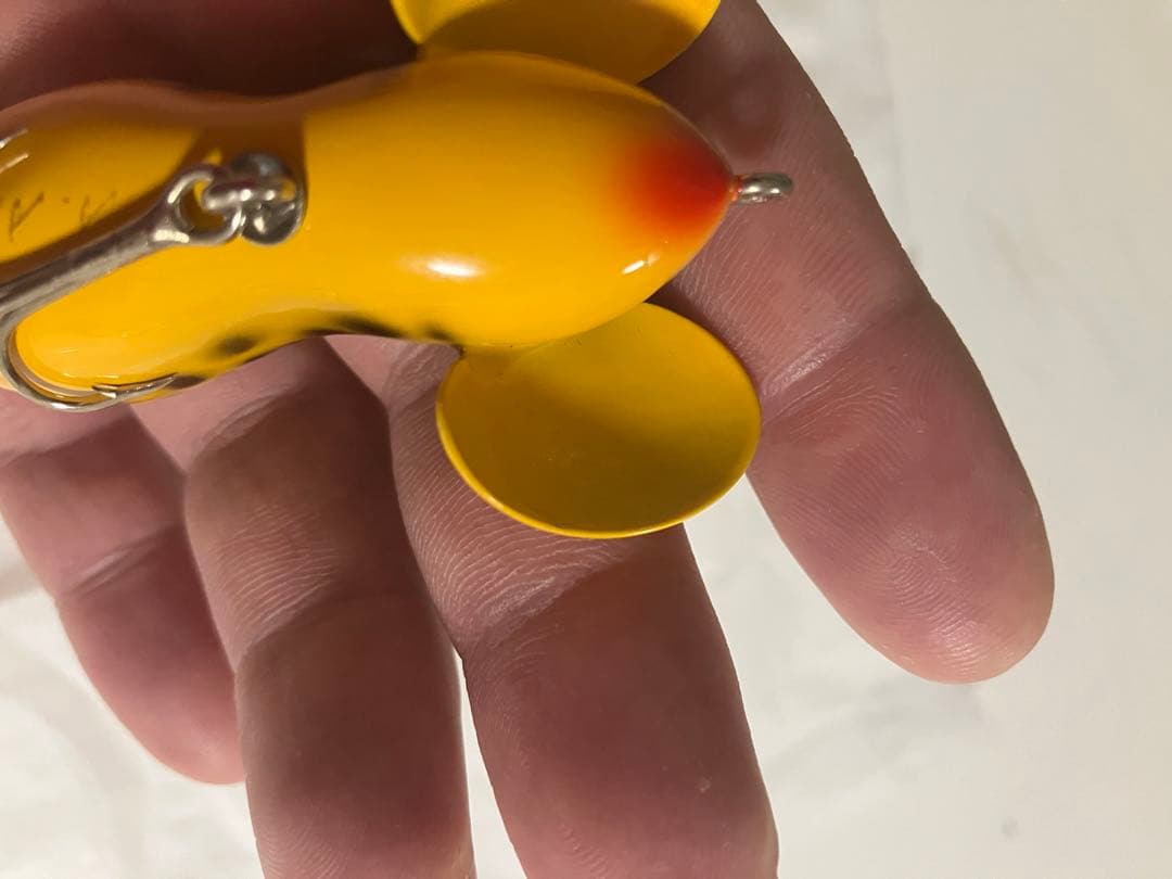 バルサ50ラージマウス青嶋サイン入り激レア！