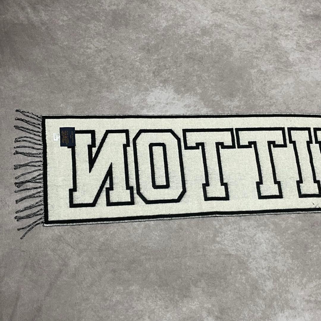 希少　ルイヴィトン　LOUIS VUITTON　エシャルプ・シティルイ　マフラー