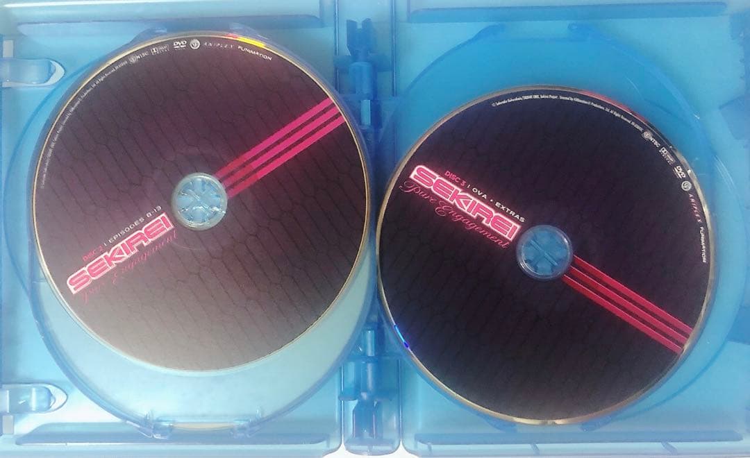 B13 北米　セキレイ + pure elegagement DVD