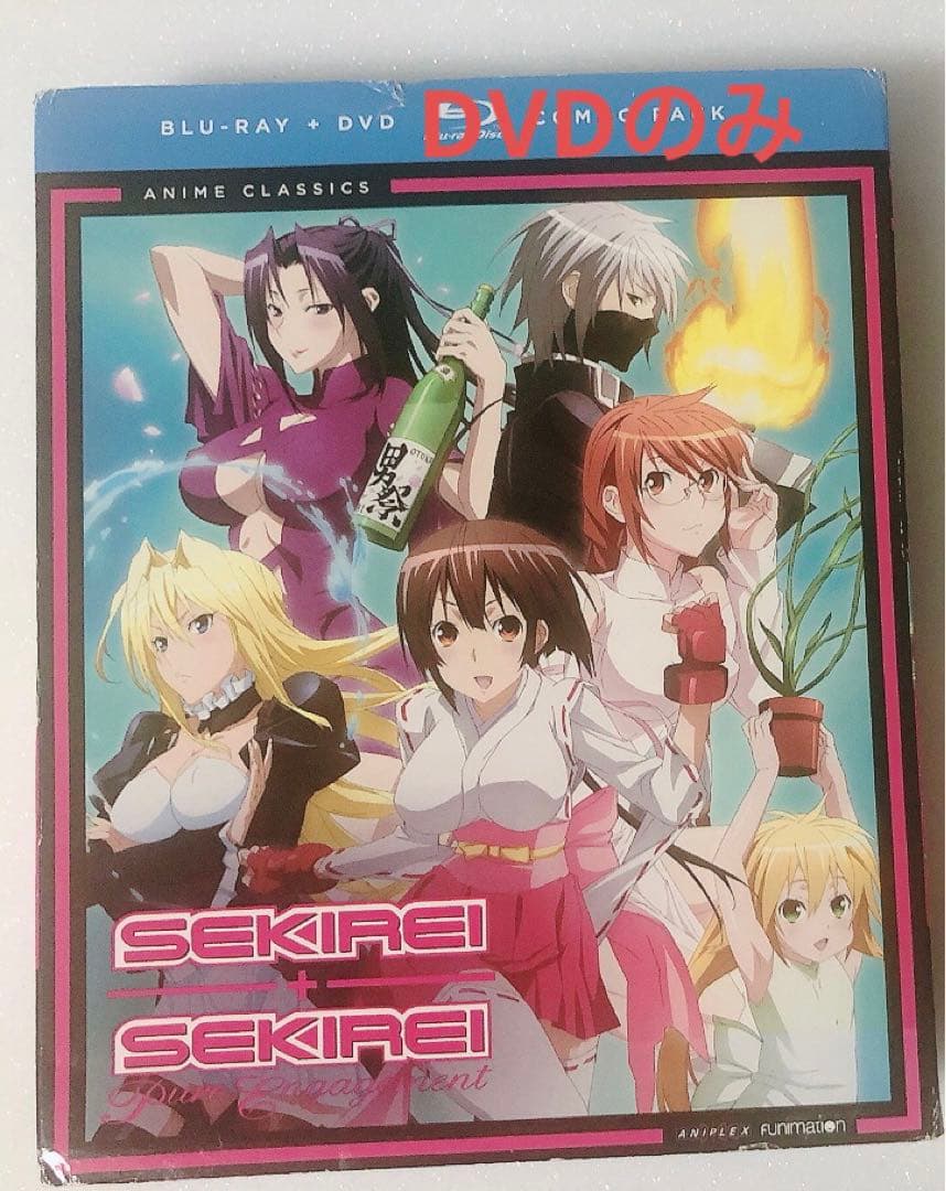 B13 北米　セキレイ + pure elegagement DVD