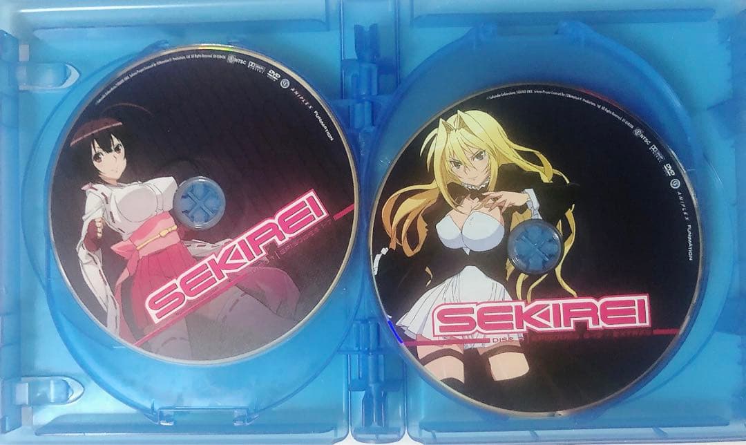 B13 北米　セキレイ + pure elegagement DVD