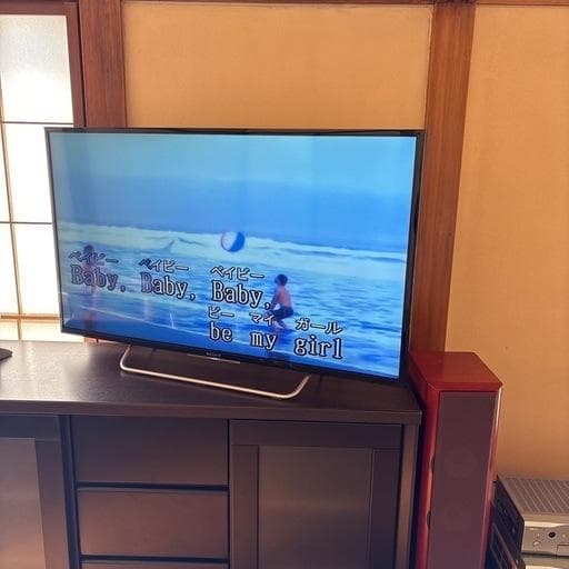 ドーベルマン刑事！カラオケUGAジョイサウンドNMU-R20