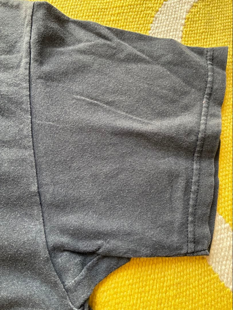 初期hanes タグ　グッドイナフ　ビンテージ Tシャツ GOODENOUGH