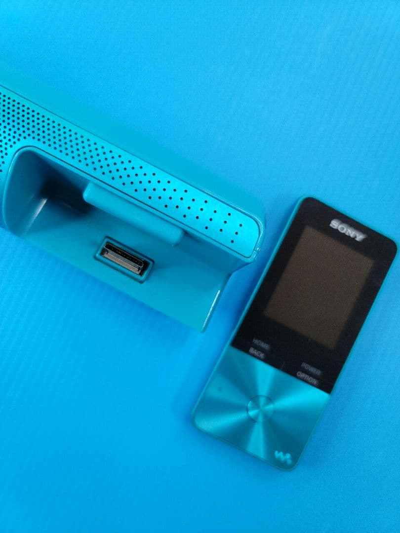 SONY WALKMAN NW-S313K「SNOOPY Style …