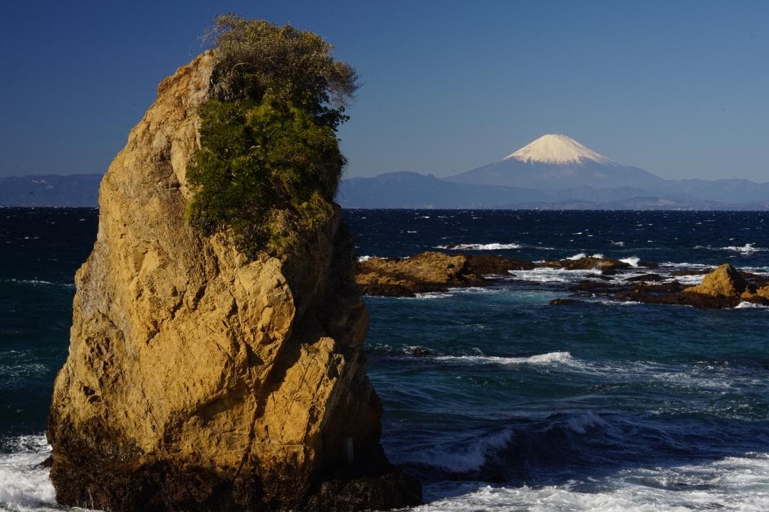 レンズ(単焦点) Rollei Planar 80mm f2.8 HFT