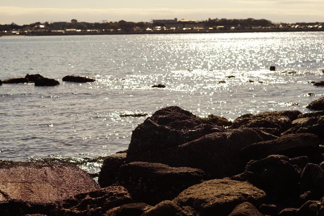 レンズ(単焦点) Rollei Planar 80mm f2.8 HFT