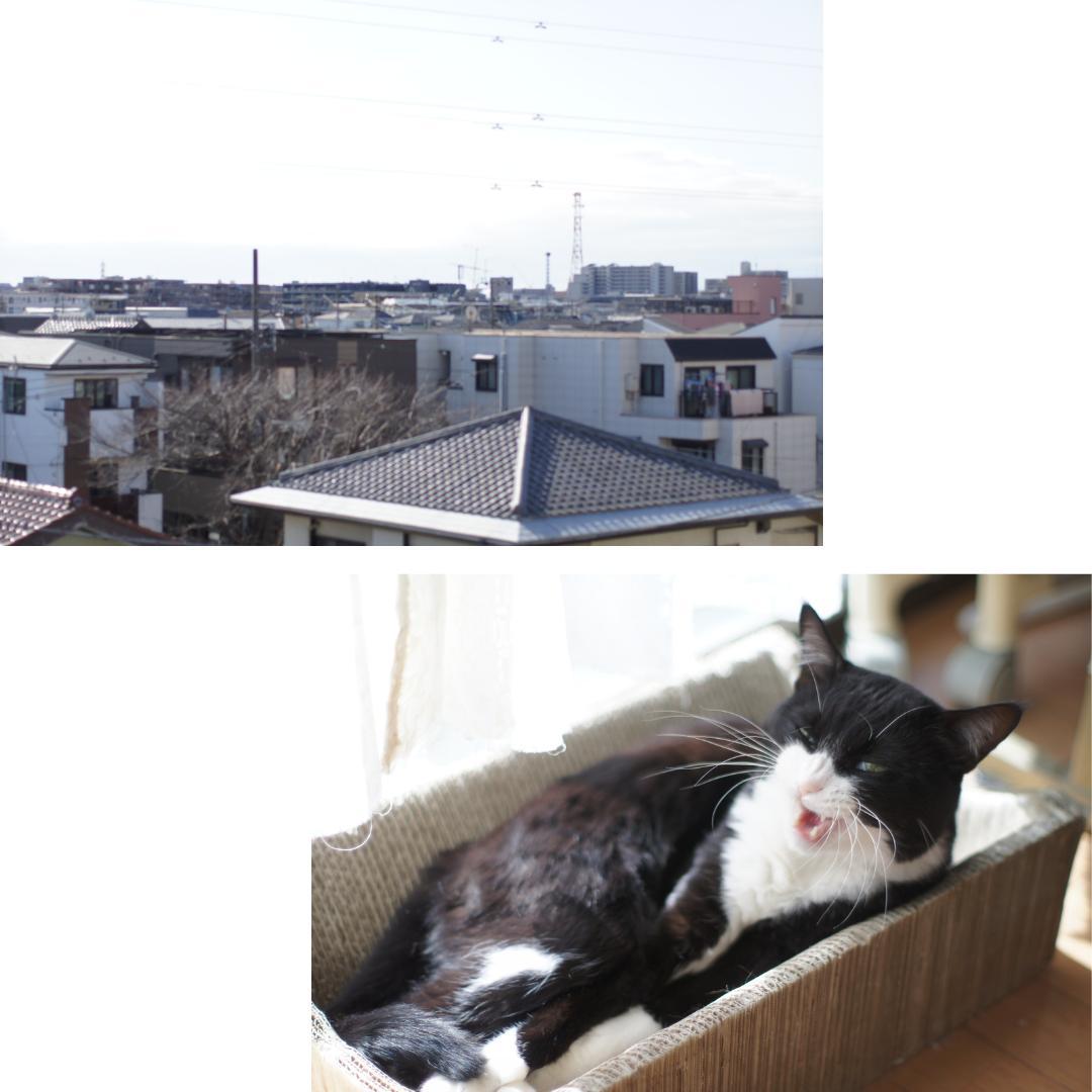 Nikon Ai NIKKOR 50mm F1.2 付属品4点 光学美品