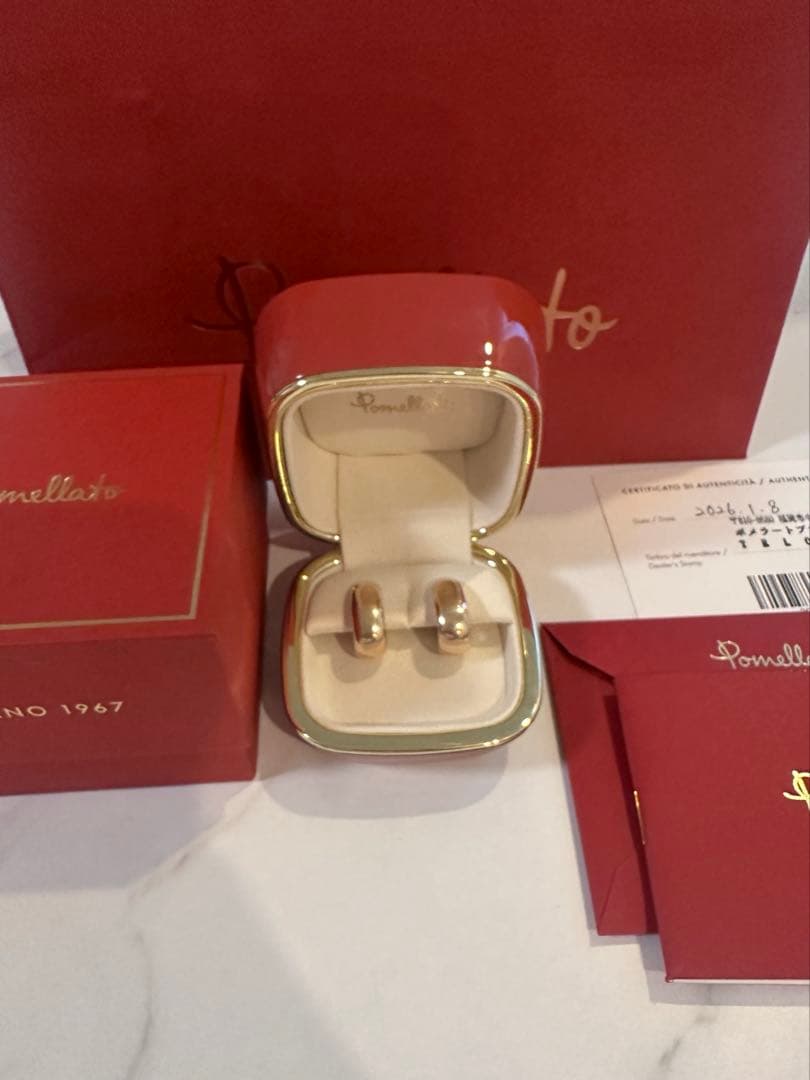 美品⭐︎ポメラート　イコニカ　イヤリングピアス