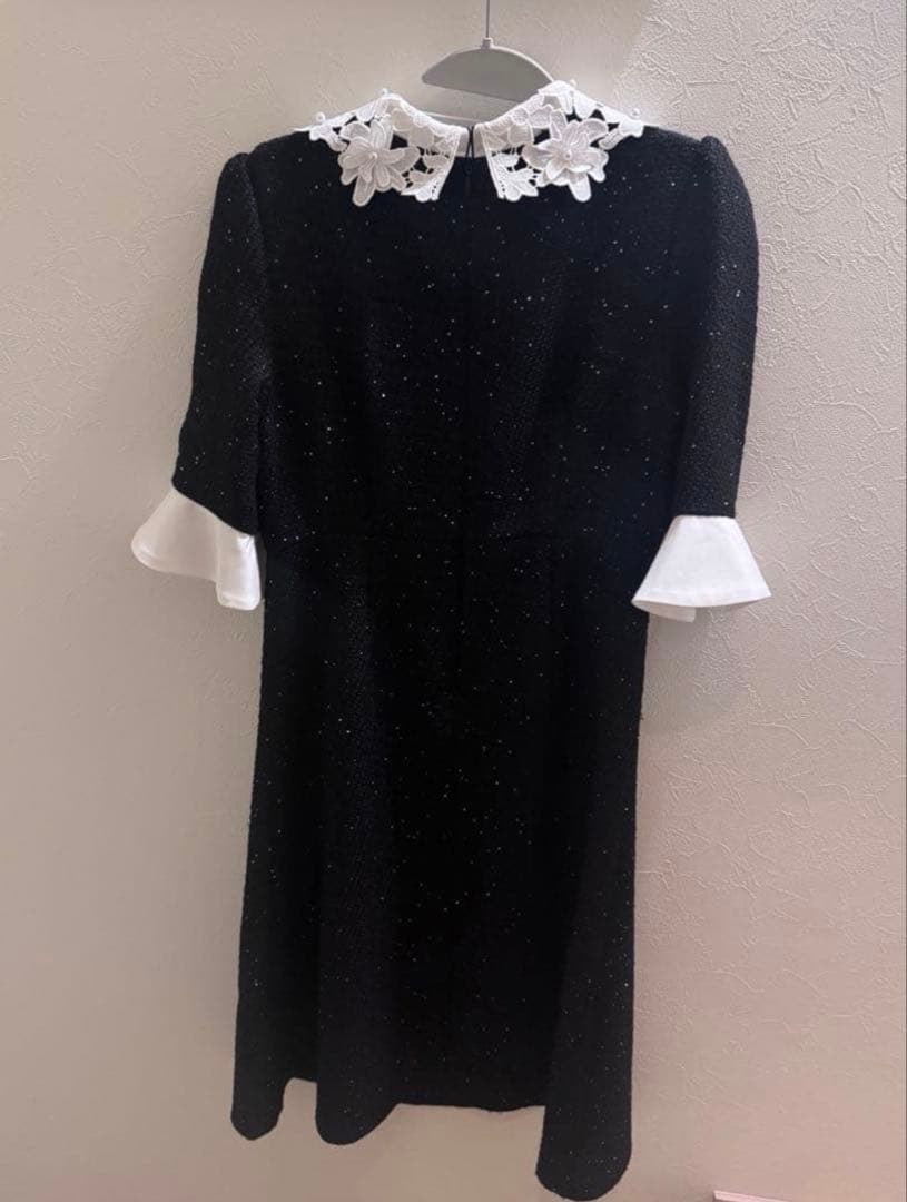 leja 花柄レースカラースパンコール刺繍Aラインフレアドレス ブラックM