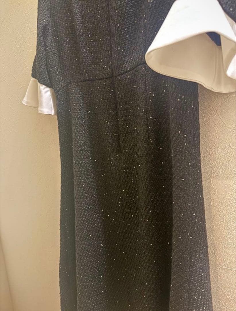 leja 花柄レースカラースパンコール刺繍Aラインフレアドレス ブラックM