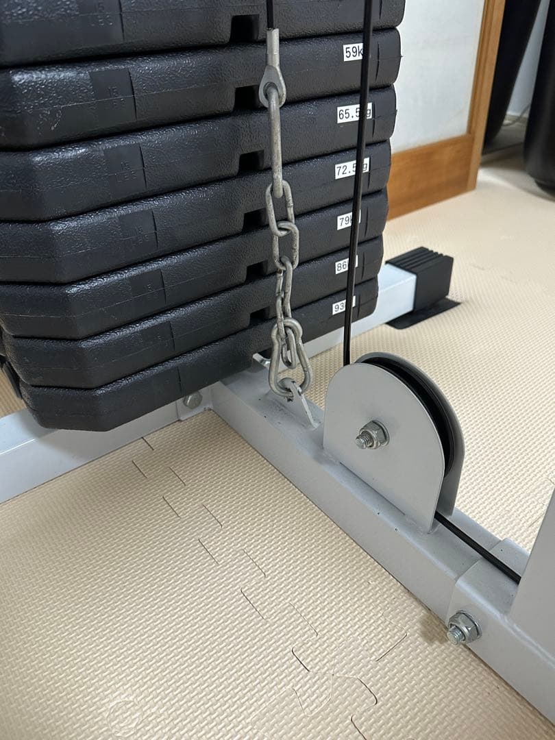 ワイルドフィット　WILD FIT 200ラットプルマシン　ウエイトプレート付